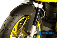 Ilmberger Carbon Front Mudgaurd carbon for the BMW R 1200 S 2006-2008