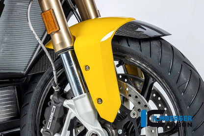 Ilmberger Carbon Front Mudguard for Painted Plasticfender for the BMW S 1000 XR '20-24 / M 1000 XR '24