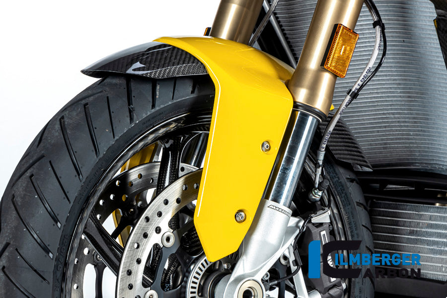 Ilmberger Carbon Front Mudguard for Painted Plasticfender for the BMW S 1000 XR '20-24 / M 1000 XR '24