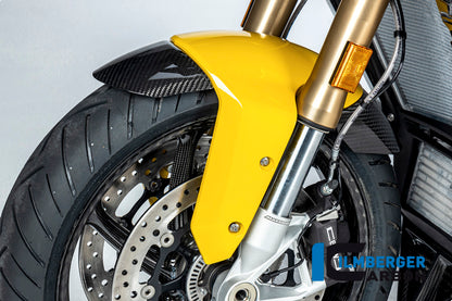 Ilmberger Carbon Front Mudguard for Painted Plasticfender for the BMW S 1000 XR '20-24 / M 1000 XR '24