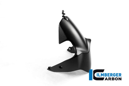 Ilmberger Carbon Front Mudguard for the Ducati Monster 1200 / 1200 S/R '14-17 / Monster 821 '14-17