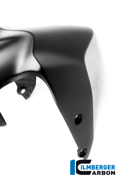 Ilmberger Carbon Front Mudguard for the Ducati Monster 1200 / 1200 S/R '14-17 / Monster 821 '14-17