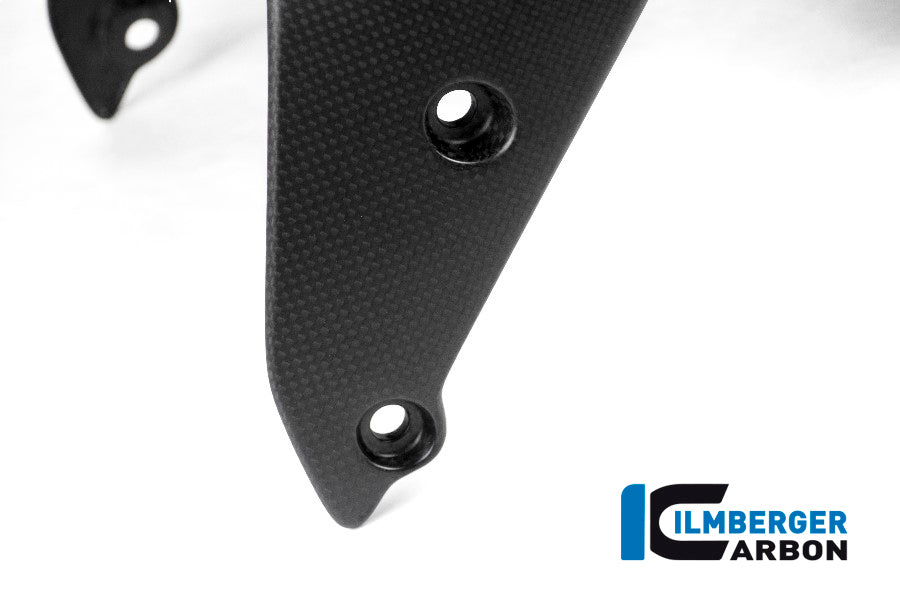 Ilmberger Carbon Front Mudguard for the Ducati Monster 1200 / 1200 S/R '14-17 / Monster 821 '14-17