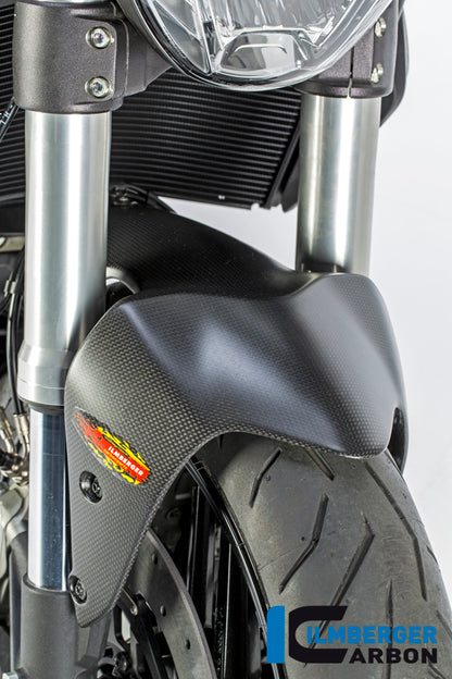 Ilmberger Carbon Front Mudguard for the Ducati Monster 1200 / 1200 S/R '14-17 / Monster 821 '14-17