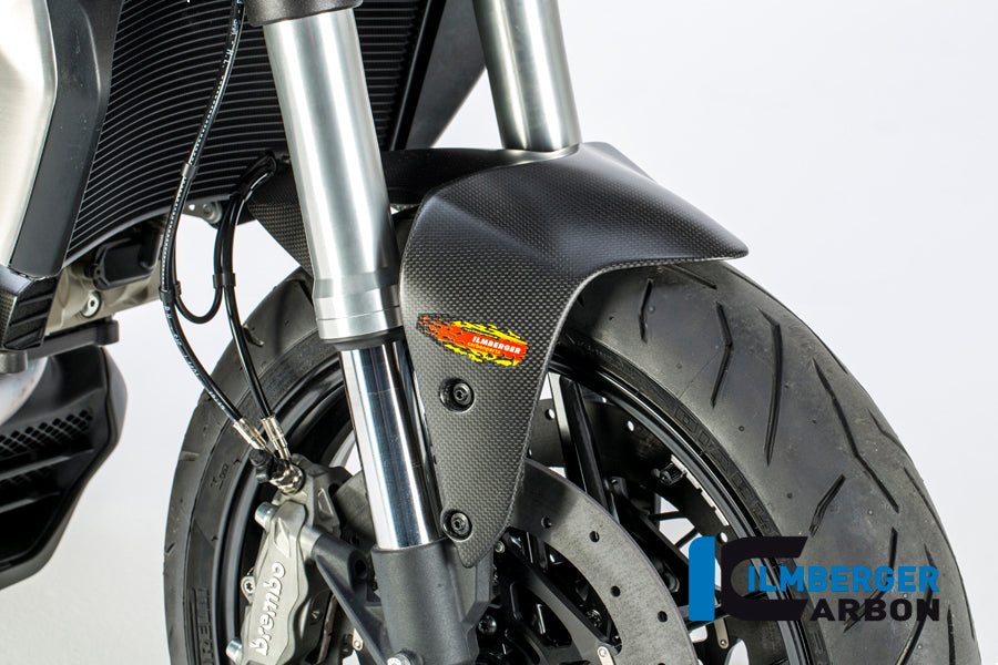 Ilmberger Carbon Front Mudguard for the Ducati Monster 1200 / 1200 S/R '14-17 / Monster 821 '14-17