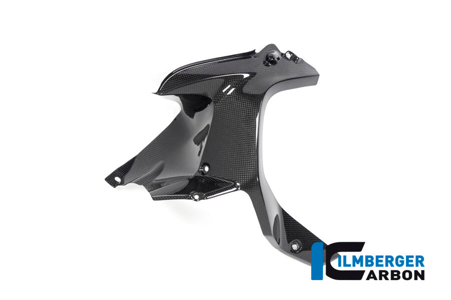 Ilmberger Carbon Airvent Cover on the Tank, Left Side for the BMW R 1200 GS Adventure 2014