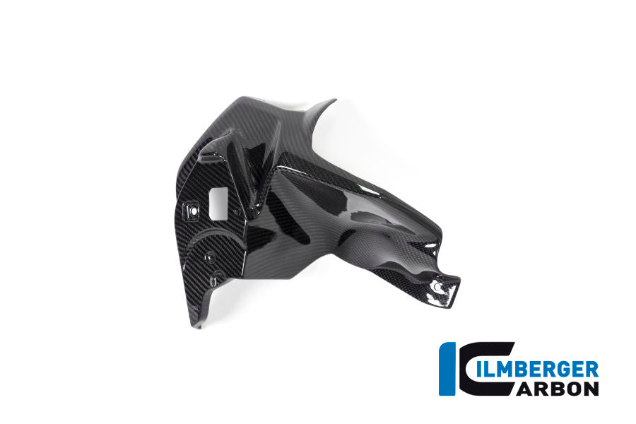 Ilmberger Carbon Airvent Cover Left Side for the BMW R 1250 GS 2017