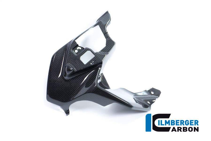 Ilmberger Carbon Airvent Cover Right Side for the BMW R 1200 GS 2017