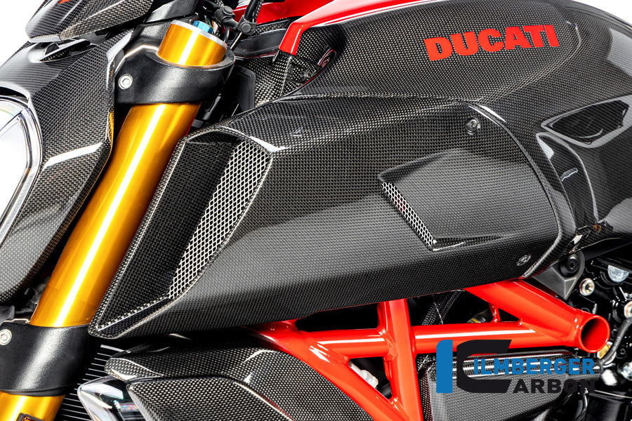 Ilmberger Carbon Airtube Cover, Left side for the Ducati Diavel 1260 2019