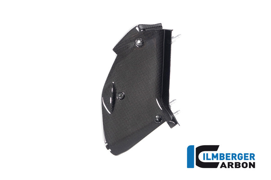 Ilmberger Carbon Right Air Tube Cover for the Ducati Diavel V4 2023