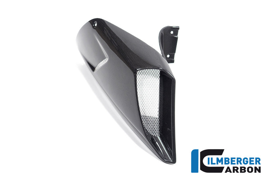 Ilmberger Carbon Airtube Cover right side for the Ducati Diavel 1260 2019