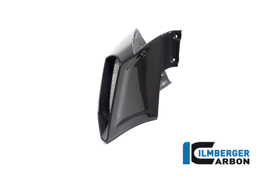 Ilmberger Carbon Airtube Cover right side for the Ducati Diavel 1260 2019