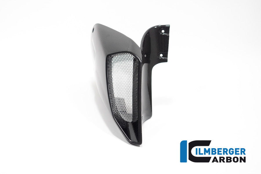 Ilmberger Carbon Airtube Cover right side for the Ducati Diavel 1260 2019