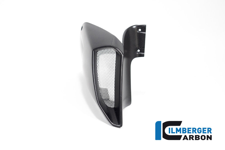 Ilmberger Carbon Airtube Cover right side for the Ducati Diavel 1260 2019