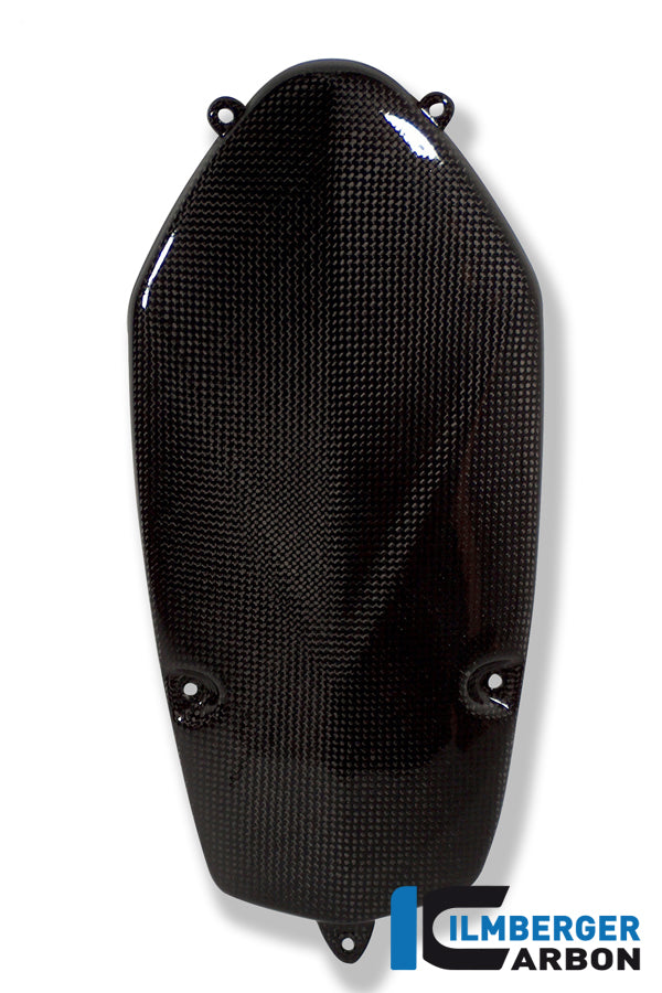 Ilmberger Carbon Alternator Cover, Carbon for the BMW HP 2 Megamoto '08-13, HP 2 Sport '08-12, R 1200 S '06-08, R Nine T/Racer '14-17, R Nine T Scrambler/Urban GS 2016