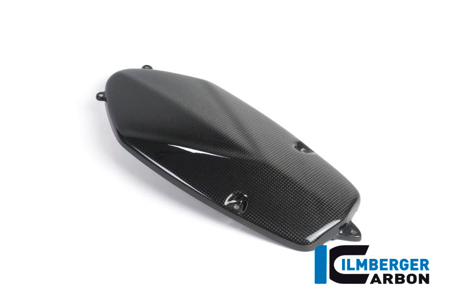 Ilmberger Carbon Alternator Cover, Carbon for the BMW HP 2 Megamoto '08-13, HP 2 Sport '08-12, R 1200 S '06-08, R Nine T/Racer '14-17, R Nine T Scrambler/Urban GS 2016