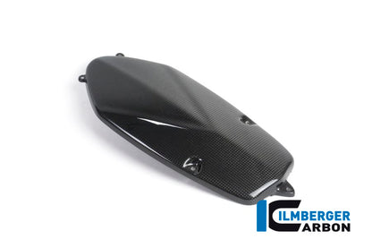 Ilmberger Carbon Alternator Cover, Carbon for the BMW HP 2 Megamoto '08-13, HP 2 Sport '08-12, R 1200 S '06-08, R Nine T/Racer '14-17, R Nine T Scrambler/Urban GS 2016