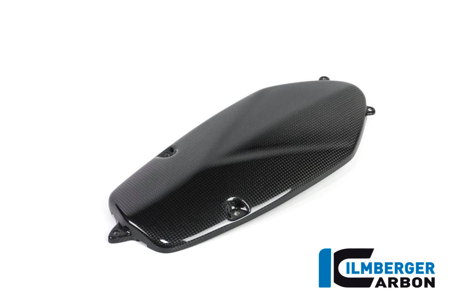 Ilmberger Carbon Alternator Cover, Carbon for the BMW HP 2 Megamoto '08-13, HP 2 Sport '08-12, R 1200 S '06-08, R Nine T/Racer '14-17, R Nine T Scrambler/Urban GS 2016