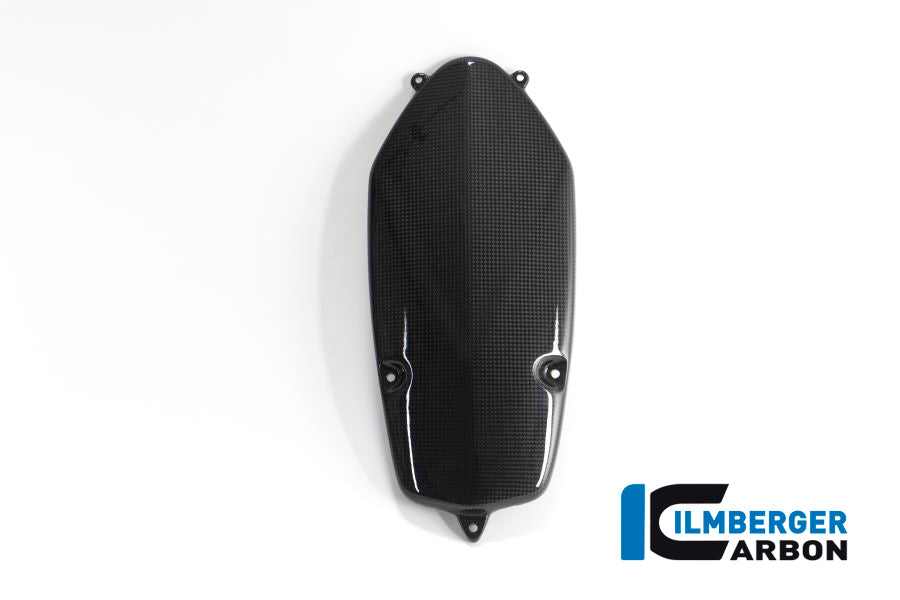 Ilmberger Carbon Alternator Cover, Carbon for the BMW HP 2 Megamoto '08-13, HP 2 Sport '08-12, R 1200 S '06-08, R Nine T/Racer '14-17, R Nine T Scrambler/Urban GS 2016