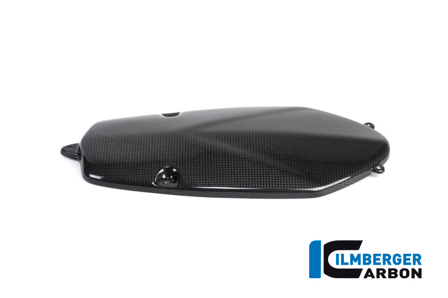 Ilmberger Carbon Alternator Cover, Carbon for the BMW HP 2 Megamoto '08-13, HP 2 Sport '08-12, R 1200 S '06-08, R Nine T/Racer '14-17, R Nine T Scrambler/Urban GS 2016