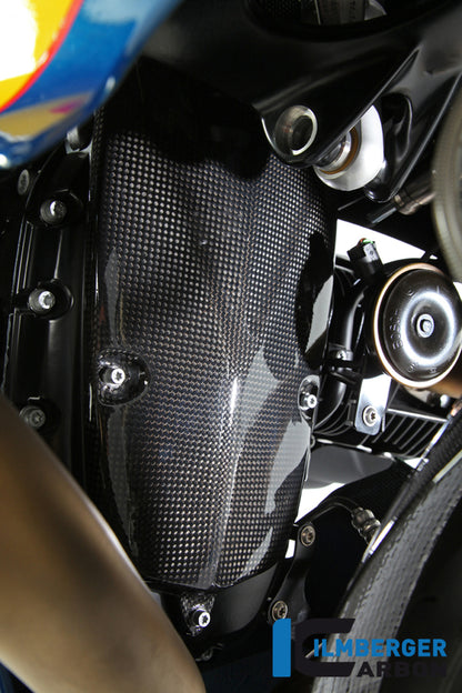 Ilmberger Carbon Alternator Cover, Carbon for the BMW HP 2 Megamoto '08-13, HP 2 Sport '08-12, R 1200 S '06-08, R Nine T/Racer '14-17, R Nine T Scrambler/Urban GS 2016