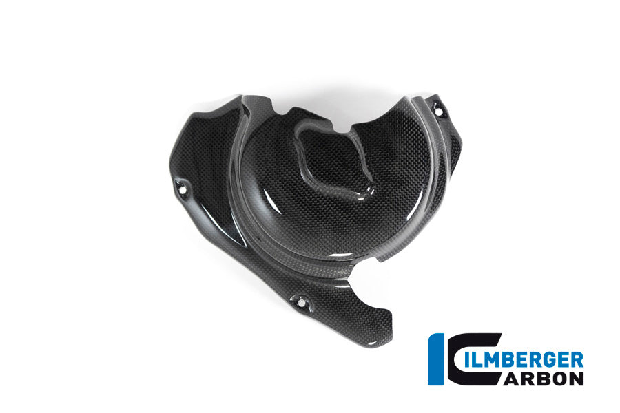 Ilmberger Carbon Engine Guard, Left Side for the Ducati Monster 1200S '17