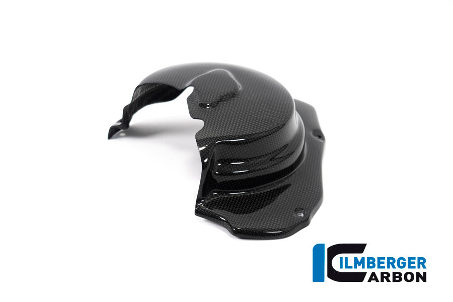 Ilmberger Carbon Engine Guard, Left Side for the Ducati Monster 1200S '17