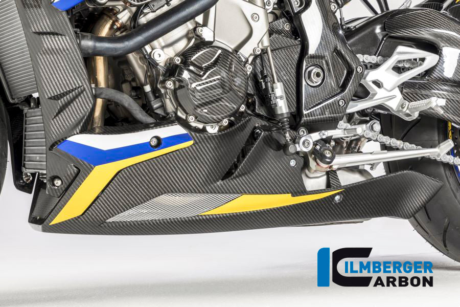 Ilmberger Carbon Alternator Cover, Carbon for the BMW S 1000 R '14-25 / RR '09-25 / HP4 '12-25 / S 1000 XR '15-19