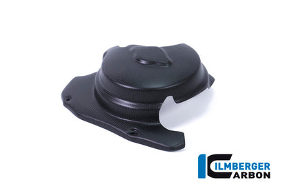 Ilmberger Carbon Engine Guard, Left Side for the Ducati Monster 1200S '17