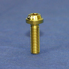 Proti Forged Titanium Number Plate Bolt Kit - With Round Washers and Lock nuts