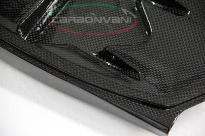 CARBONVANI - MV AGUSTA BRUTALE CARBON FIBER UNDERSEAT TRAY (2006-09)