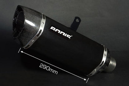 BODIS P-TEC II Slip On Exhaust WITH CAT DELETE for MV Agusta F3 / B3 675 / 800