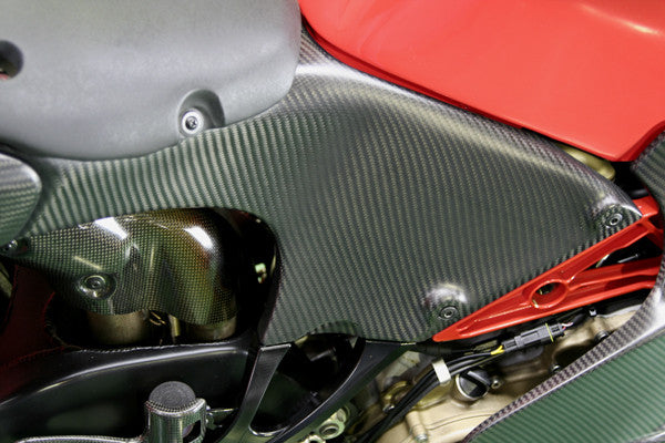 CARBONDRY - DUCATI DESMOSEDICI CARBON FIBER REAR FRAME