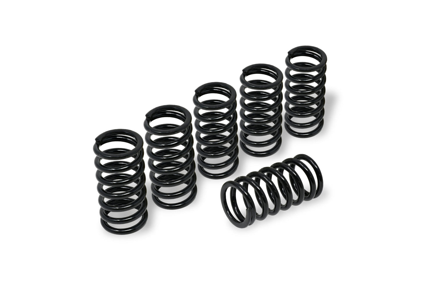 CNC Racing Stainless Clutch Springs For BMW - 45 mm height