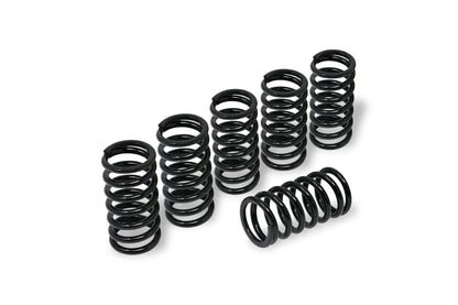 CNC Racing Stainless Clutch Springs For BMW - 45 mm height