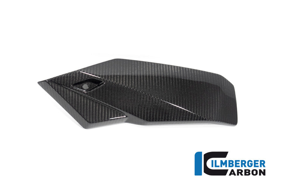 Ilmberger Carbon Bellypan, Left Side for the BMW S 1000 R '21 / M 1000 R '23-24