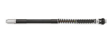 Matris F25R Fork Cartridge Kit for the Ducati Streetfighter V2