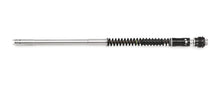 Matris F25RX Single leg Fork Cartridge Kit for the Ducati Multistrada V4 S