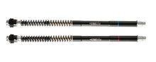 Matris F25SA Fork Cartridge Kit for the Aprilia RS 457