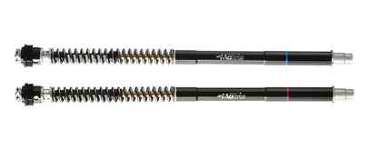 Matris F25SA Fork Cartridge Kit for the Aprilia RS 457