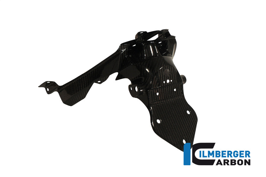 Ilmberger Carbon Number Plate Holder for the BMW C600 Sport '12-24