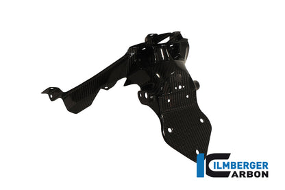 Ilmberger Carbon Number Plate Holder for the BMW C600 Sport '12-24