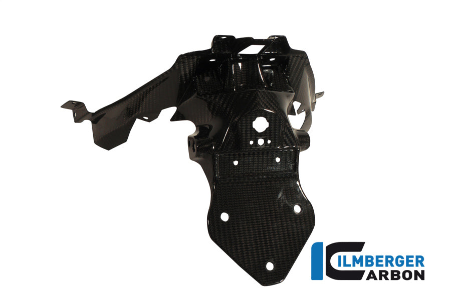 Ilmberger Carbon Number Plate Holder for the BMW C600 Sport '12-24