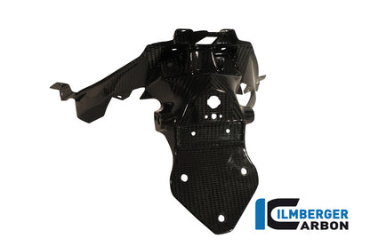 Ilmberger Carbon Number Plate Holder for the BMW C600 Sport '12-24