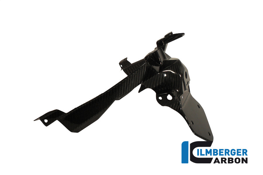Ilmberger Carbon Number Plate Holder for the BMW C600 Sport '12-24