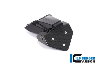 Ilmberger Carbon Number Plate Holder for the BMW S 1000 R '21 / S 1000 RR '19-23 / M 1000 R '23-24 / M 1000 RR '21-24