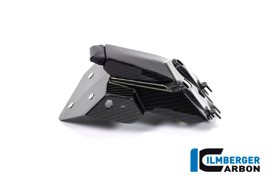 Ilmberger Carbon Number Plate Holder for the BMW S 1000 R '21 / S 1000 RR '19-23 / M 1000 R '23-24 / M 1000 RR '21-24