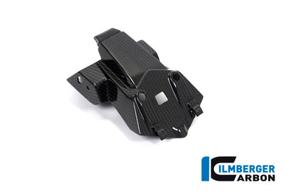 Ilmberger Carbon Number Plate Holder for the BMW S 1000 R '21 / S 1000 RR '19-23 / M 1000 R '23-24 / M 1000 RR '21-24