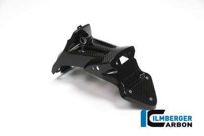 Ilmberger Carbon Number Plate Holder (normal length) for the BMW S 1000 XR 2015-2019