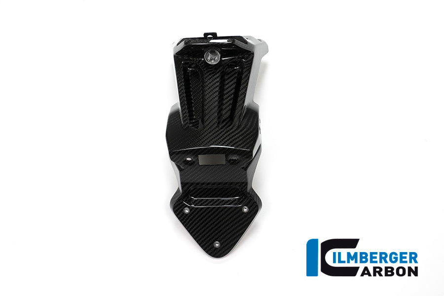 Ilmberger Carbon Number Plate Holder (normal length) for the BMW S 1000 XR 2015-2019